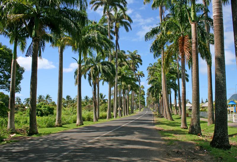 VENDREDI : Les incontournables de la Basse-Terre