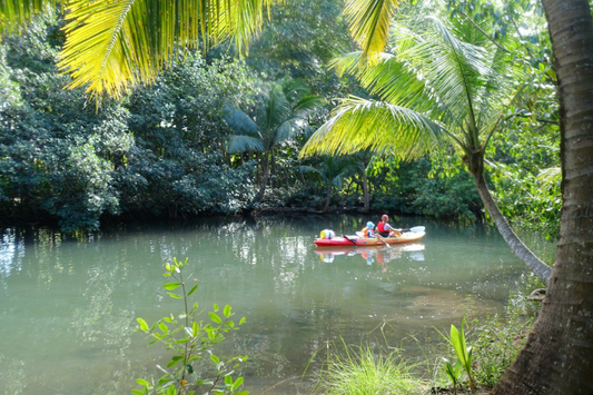 Samedi : Aventure et détente