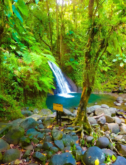 Rêves de rivière
