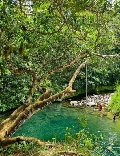 Mardi : Evasion Créole sur la Basse-Terre (Repas et petit déjeuner Inclus)