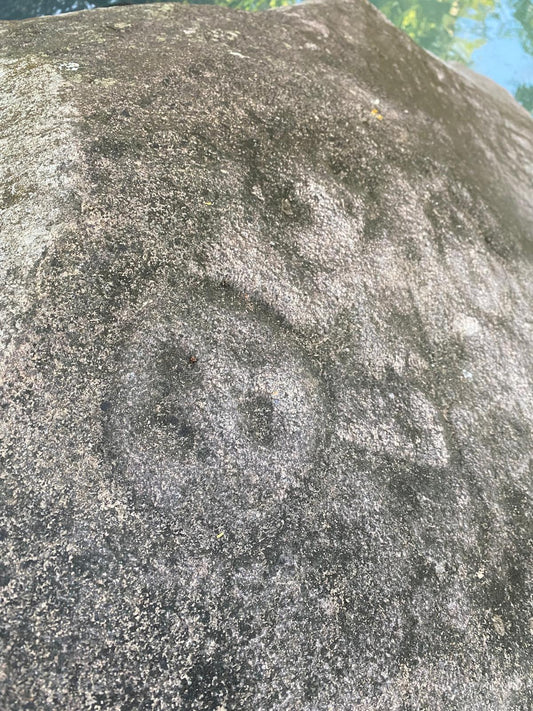 Mardi : Evasion Créole (Repas et ticket Inclus)