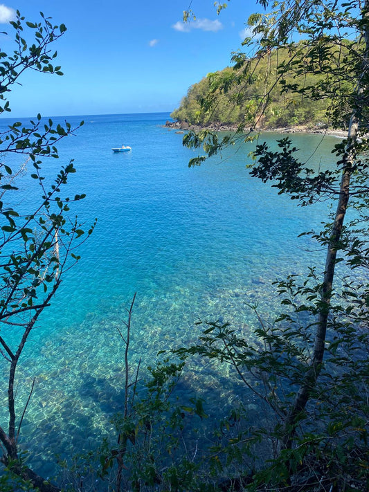 Visite de la ville aux Eaux Chaudes - Bouillante