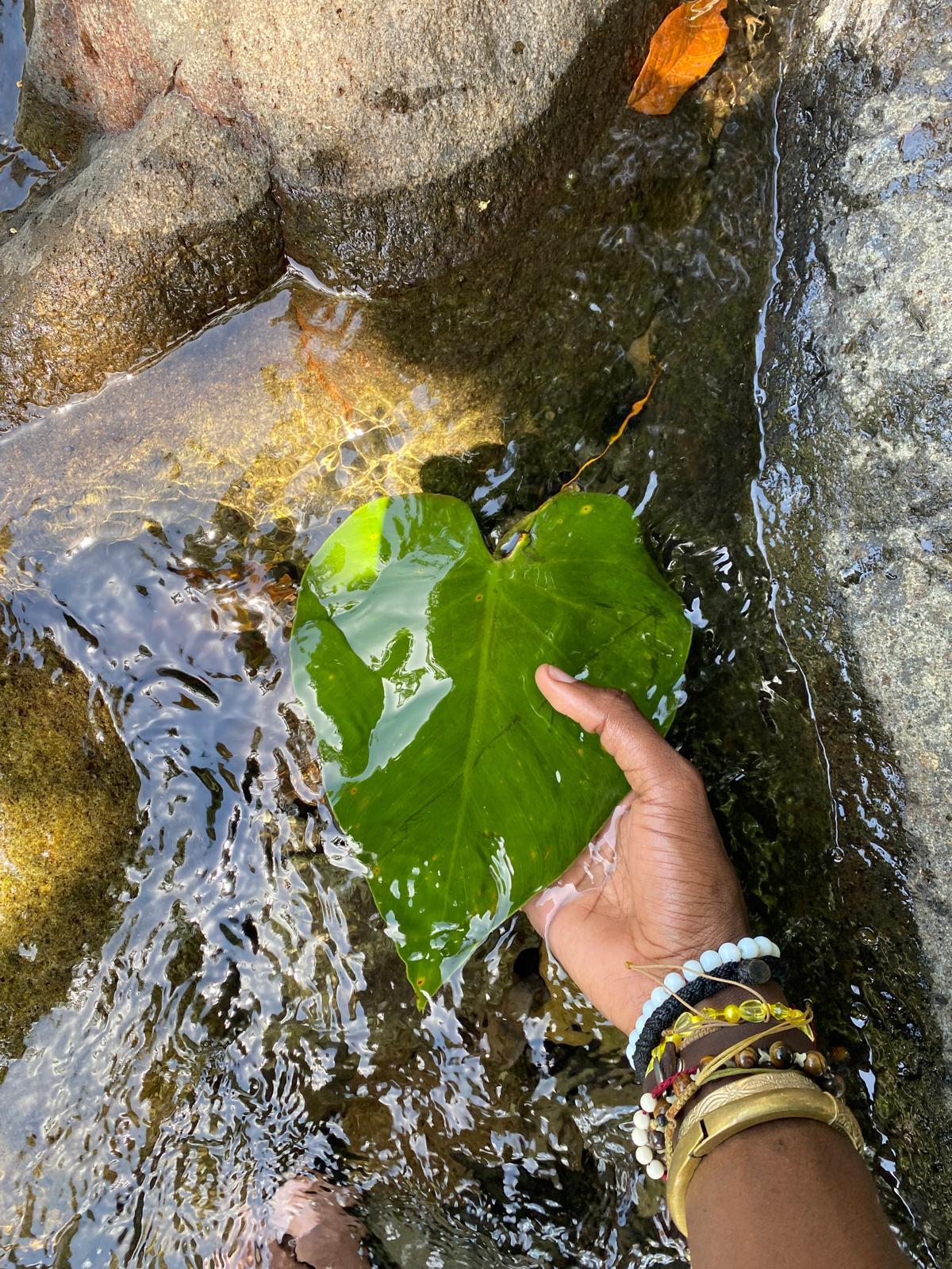 Mercredi : Visite de la ville aux Eaux Chaudes - Bouillante
