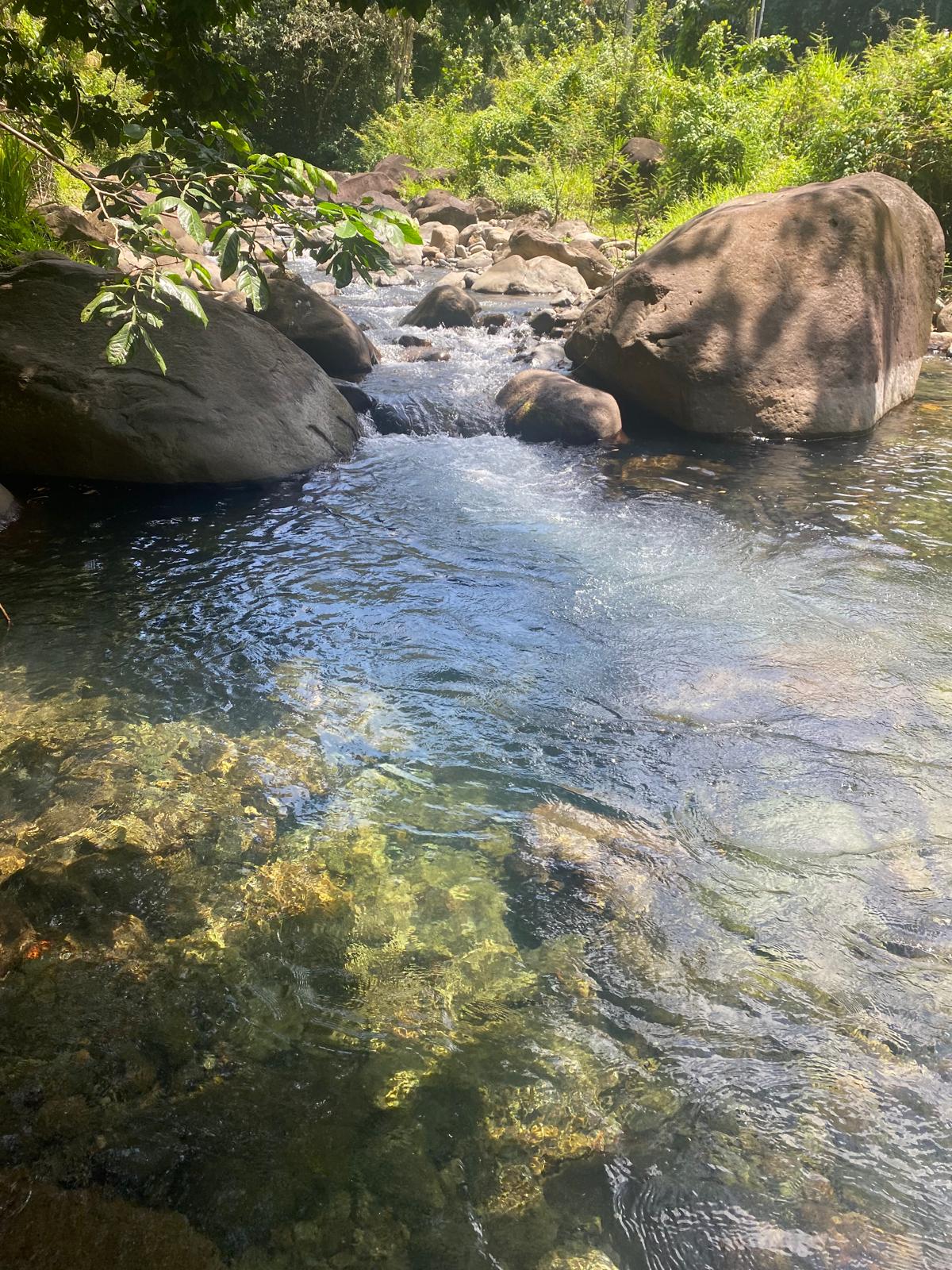 Mercredi : Visite de la ville aux Eaux Chaudes - Bouillante