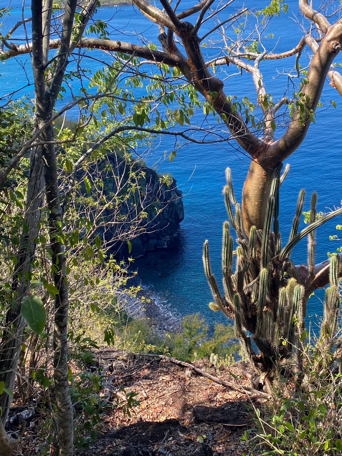 Mercredi : Visite de la ville aux Eaux Chaudes - Bouillante