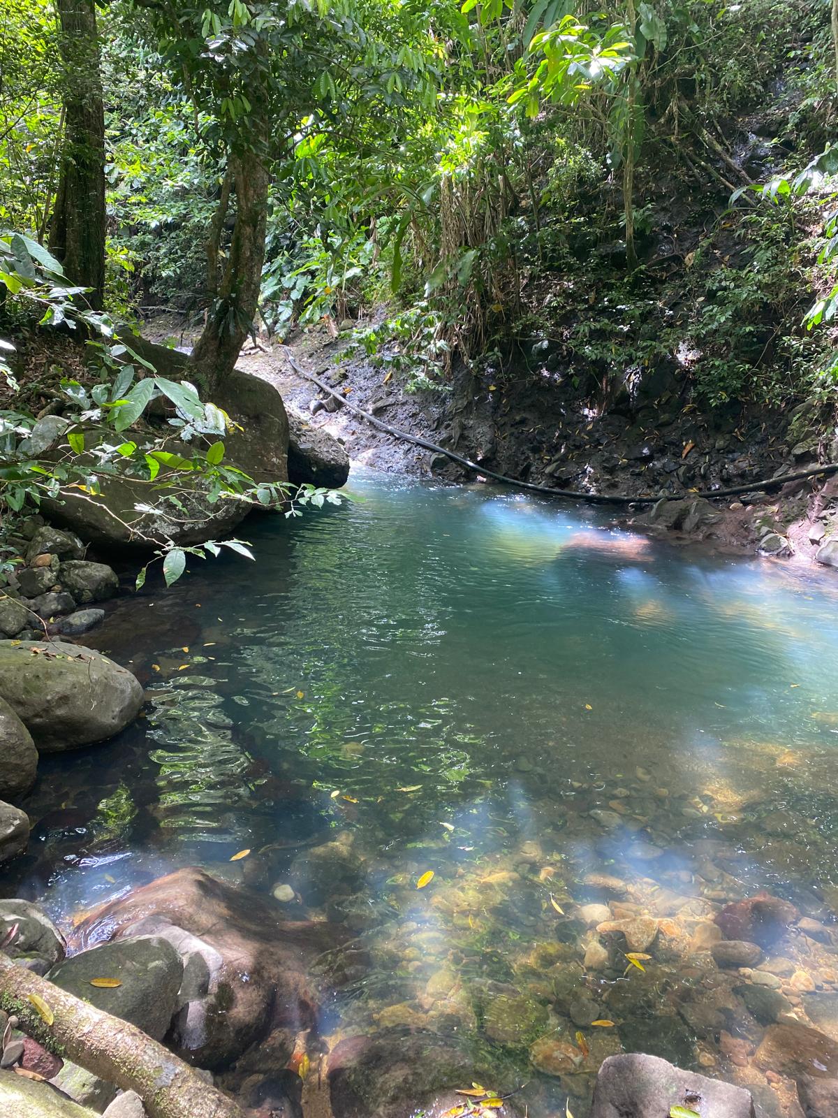 Mercredi : Visite de la ville aux Eaux Chaudes - Bouillante