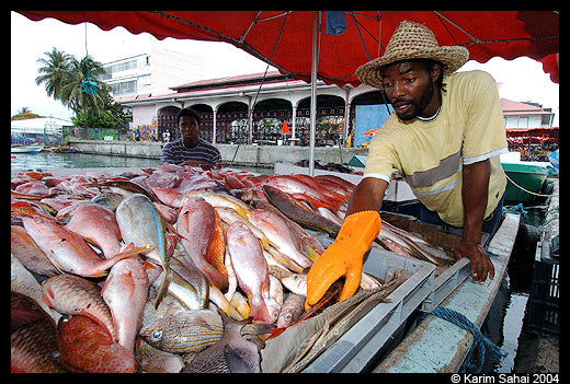 Culture et patrimoine ( Pointe à pitre )