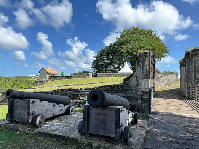 Culture et patrimoine ( Pointe à pitre )