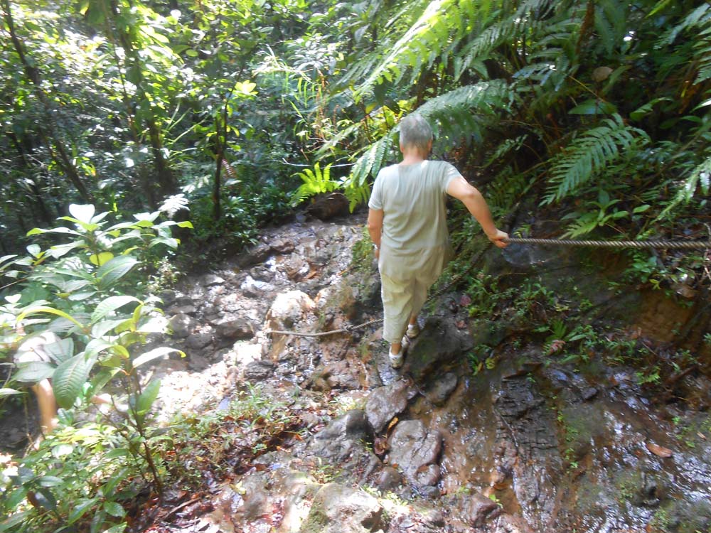 Lundi : Pack soufrière ou chute du carbet - Basse-Terre
