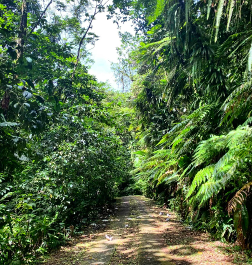 Rêves de rivière