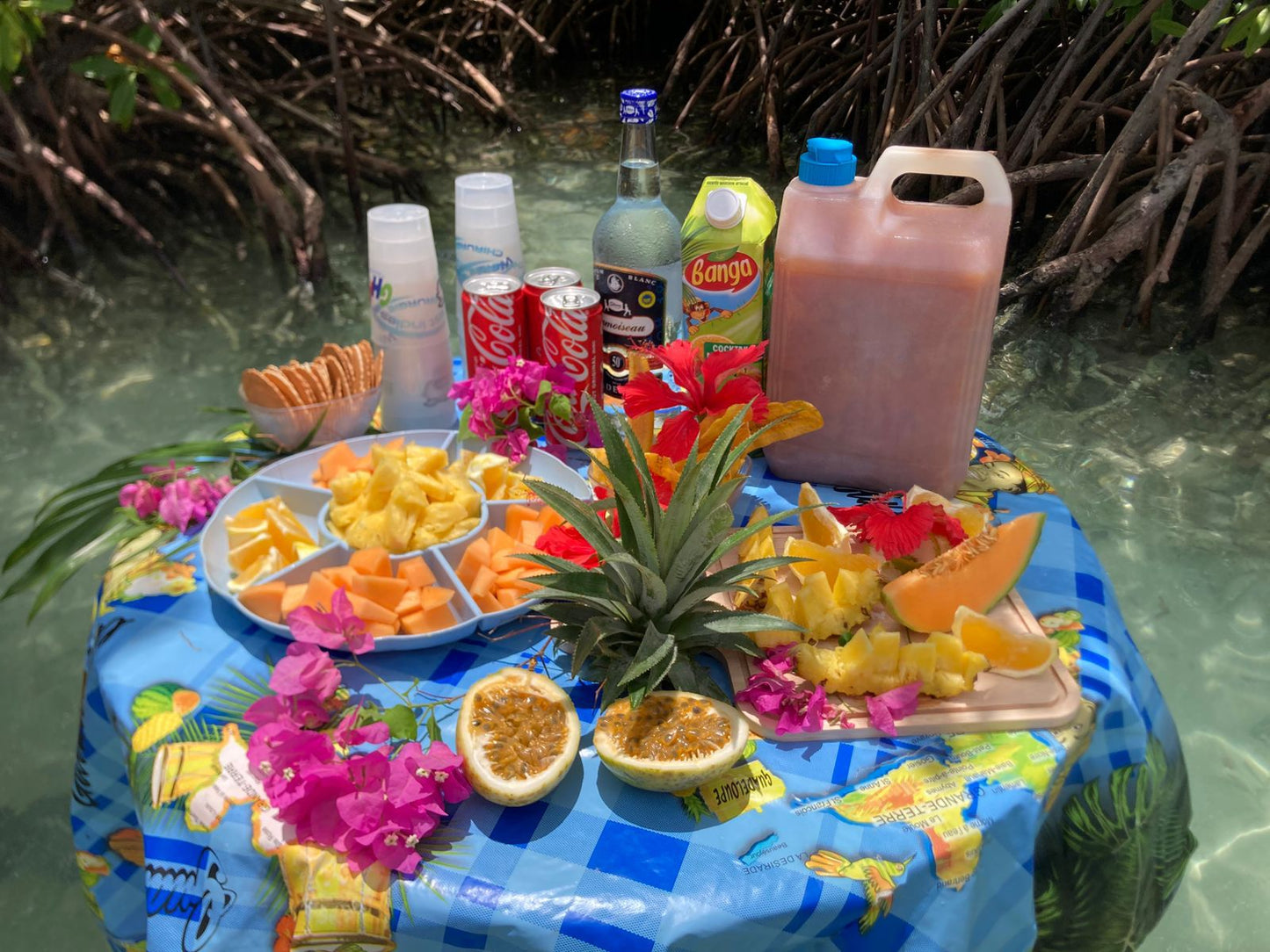 Grand Cul de Sac Marin