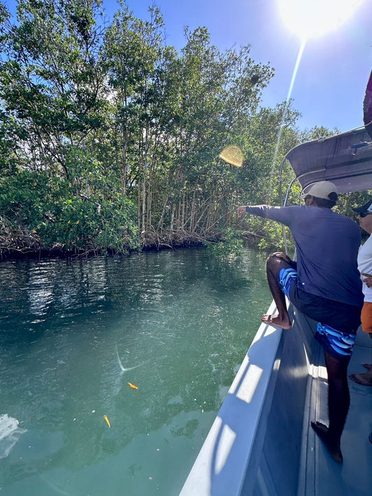 Grand Cul de Sac Marin