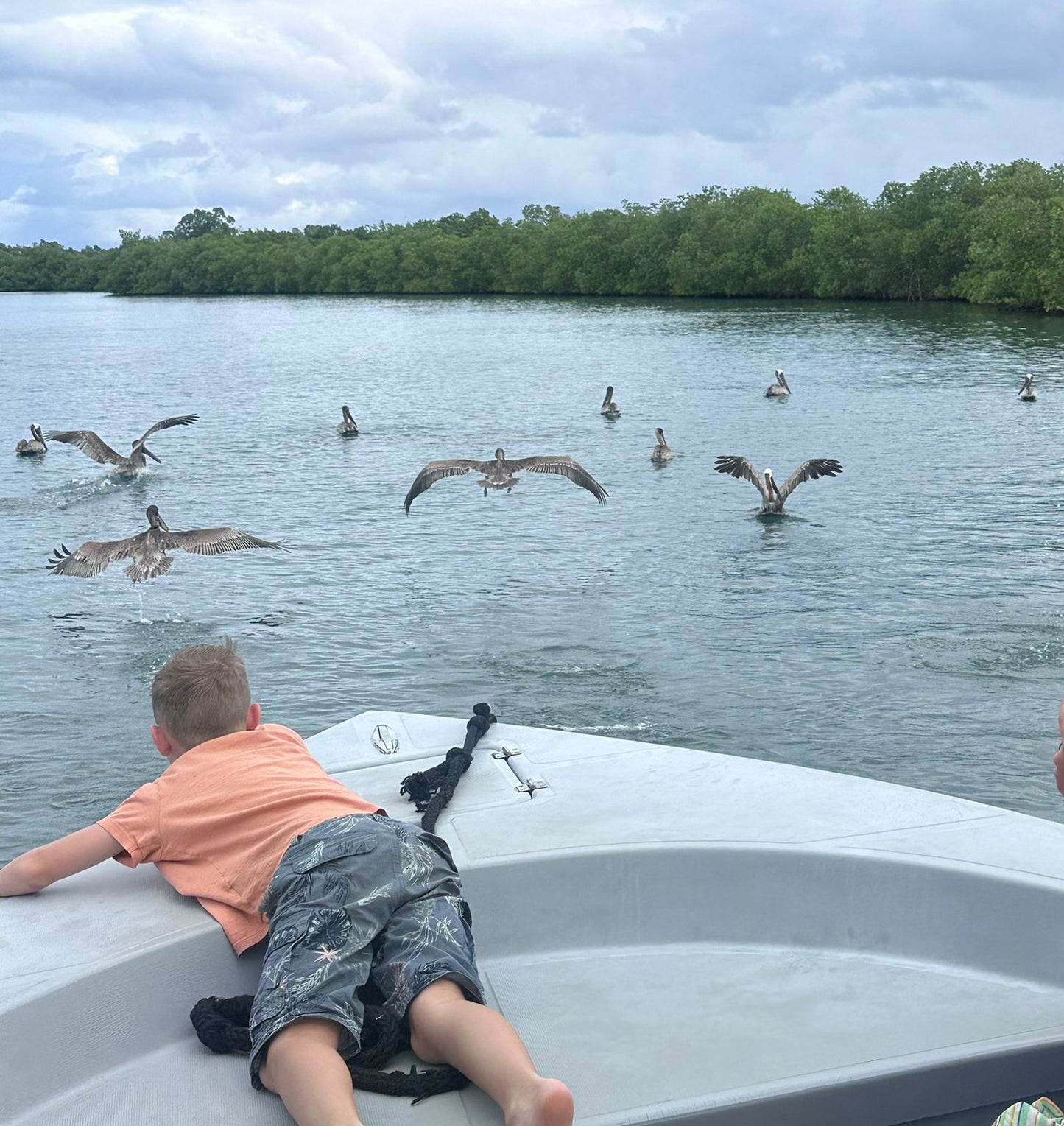 Grand Cul de Sac Marin