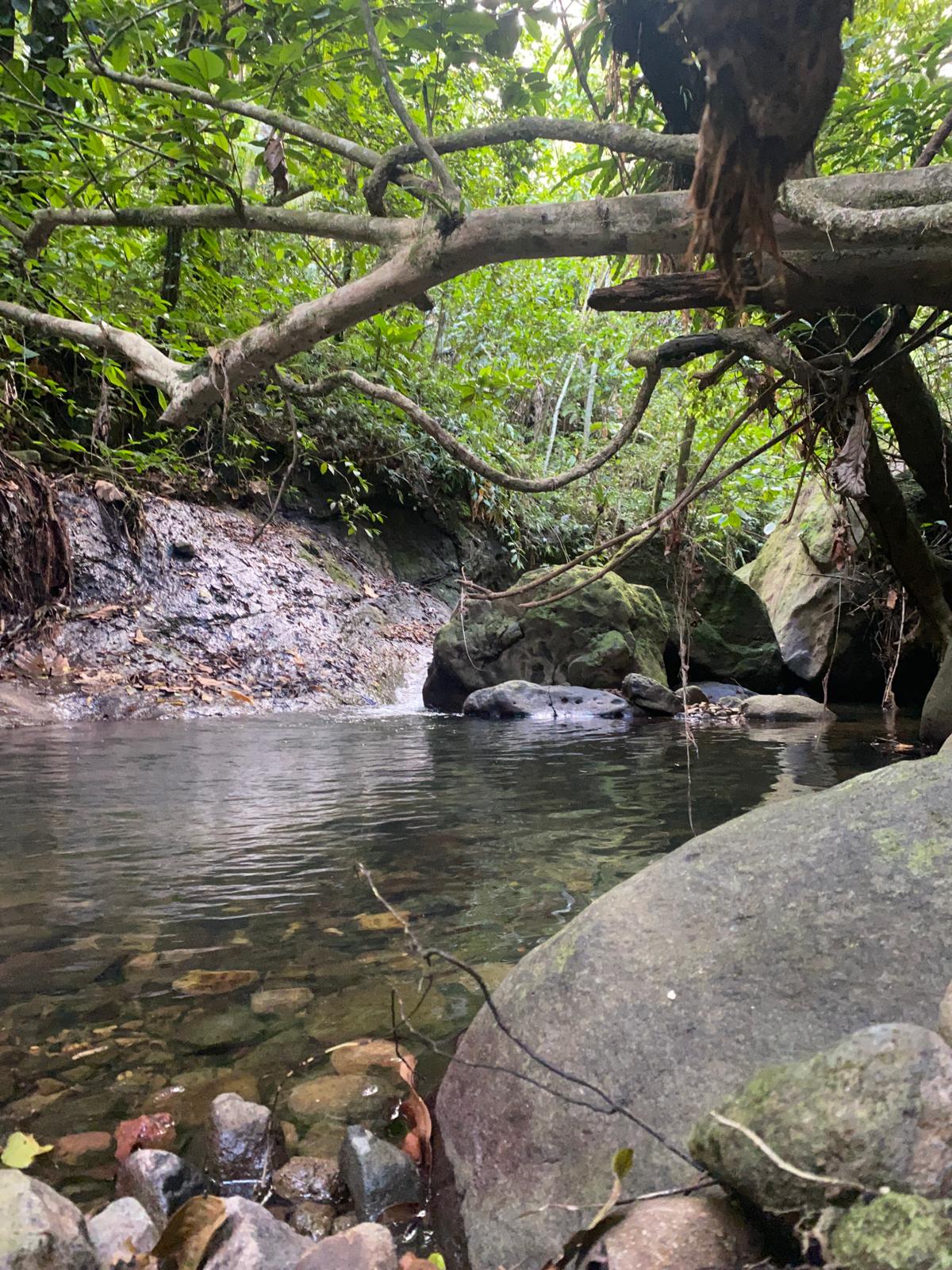 Mercredi : Visite de la ville aux Eaux Chaudes - Bouillante