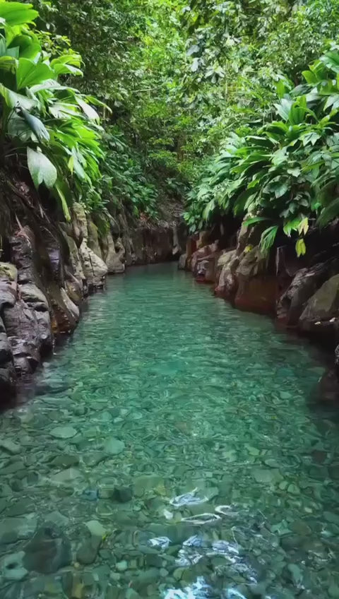 Pack Rivière Moustique