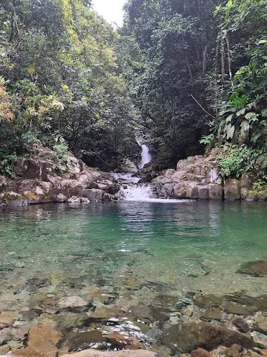 Cascade P