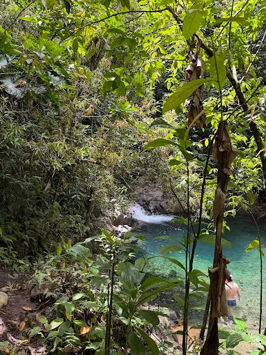 Cascade P