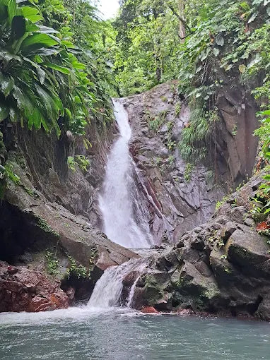 Cascade M